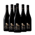 Midas Pinot Grigio 6
